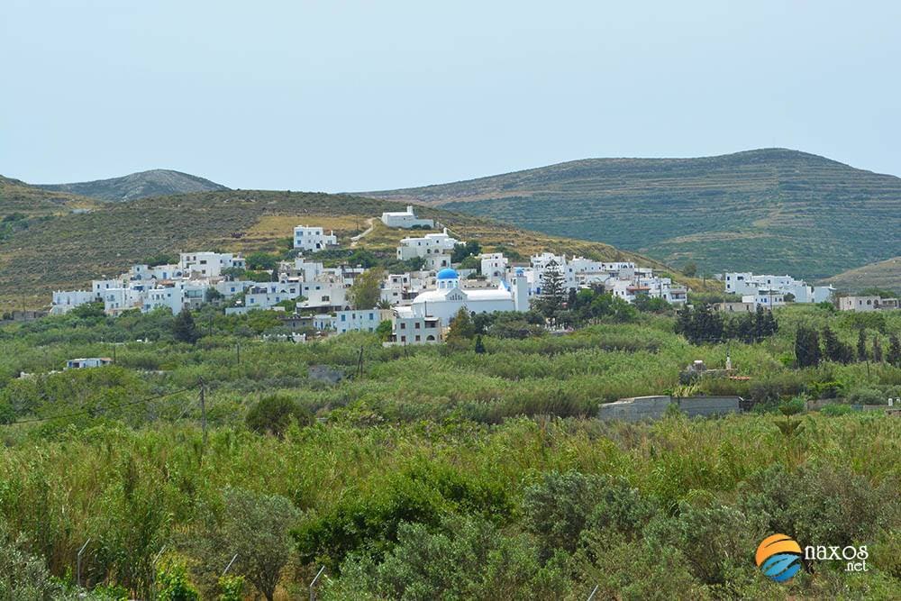 Naxos Up
